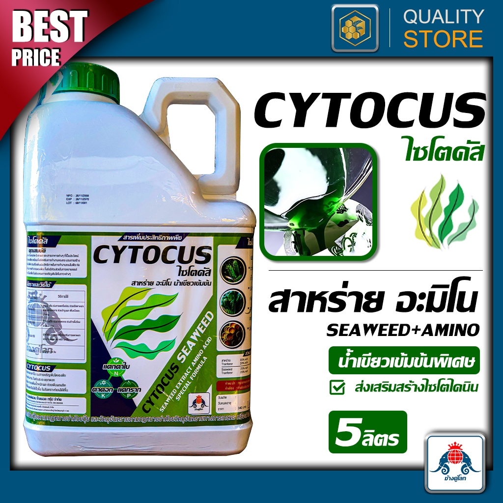 (ใหม่)Cytocus ขนาด 5 ลิตร สาหร่ายน้ำเขียวข้น สร้างไซโตไคนิน แตกตาใบ ดอก ราก แตกกอ การแบ่งเซลล์