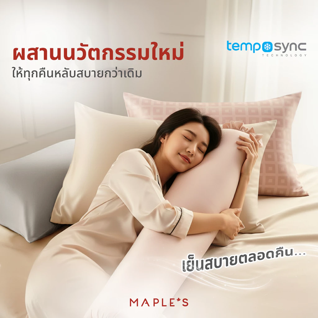 MAPLE S ปลอกหมอน ปลอกหมอนข้าง MicroCotton กันไรฝุ่น thumbnail 6