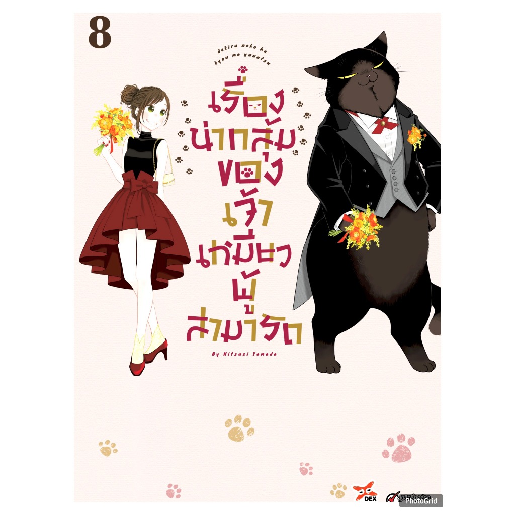 พร้อมส่ง หนังสือการ์ตูน เรื่องน่ากลุ้มของเจ้าเหมียวผู้สามารถ ล.1-8 แยกเล่ม MG มังงะ แมวยูคิจิ ตลก ชีวิตประจำวัน แมวดำ