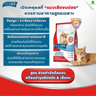 CAT n joy อาหารแมว สูตรกำจัดก้อนขนและบำรุงขน สำหรับแมวโต 1 ปีขึ้นไป รสแซลมอน ขนาด 400 กรัม