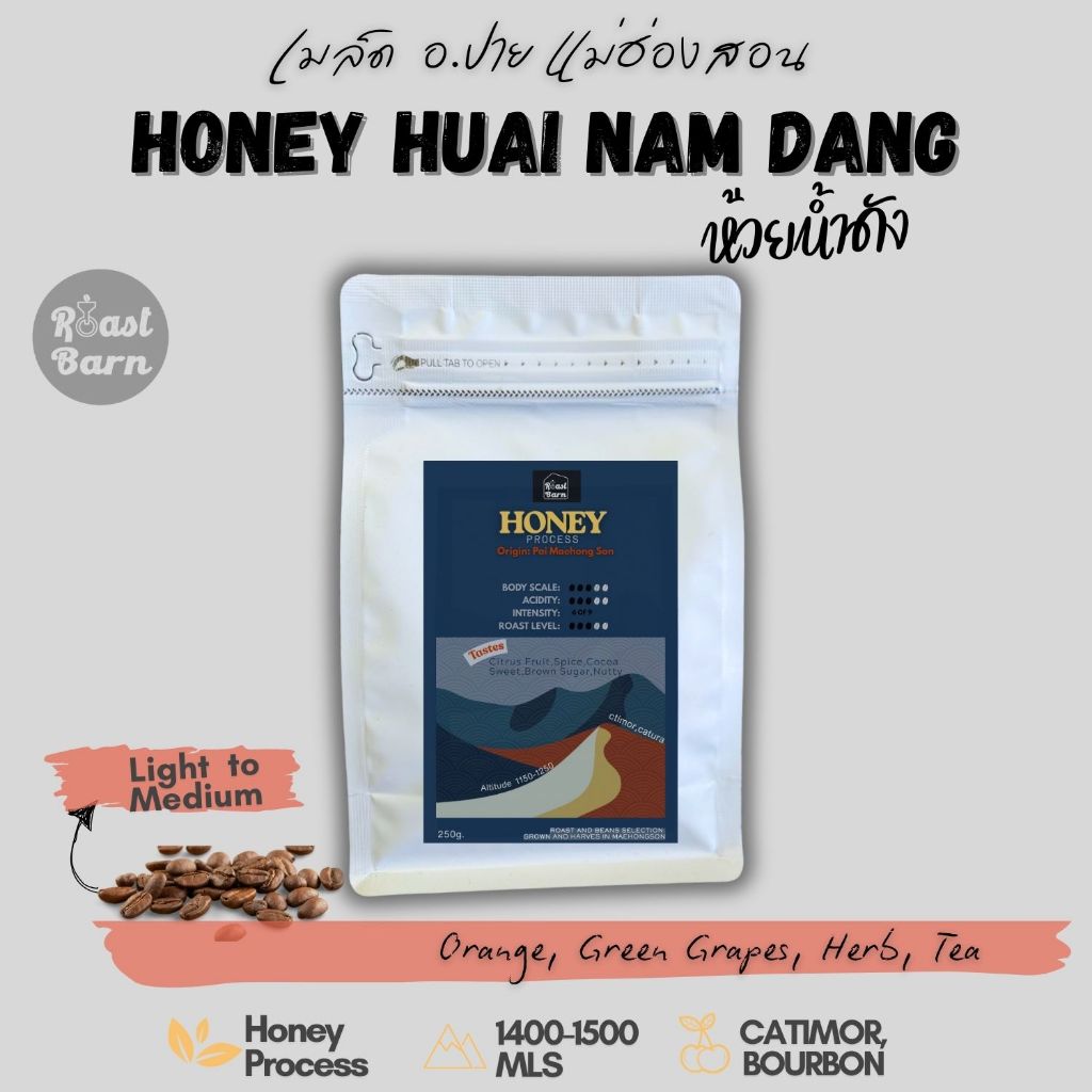 เมล็ดกาแฟห้วยน้ำดังปาย แม่ฮ่องสอน อาราบิก้า ฮันนี่โพรเสส | Huai Nam Dang Honey Process | Specialty Coffee