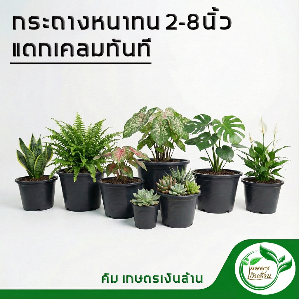 [แตกเคลมทันที]กระถางกลมดำ 10นิ้ว อย่างดี พร้อมส่ง By.คิม เกษตรเงินล้าน