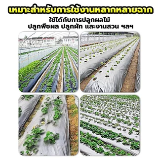 พลาสติกคลุมดิน 1ม.x400หลา(360ม) เจาะรูเดี่ยว 1แถว ผ้ายางคลุมดิน ผ้ายางคลุมวัชพืช ผ้ายางคลุมแปลงผัก