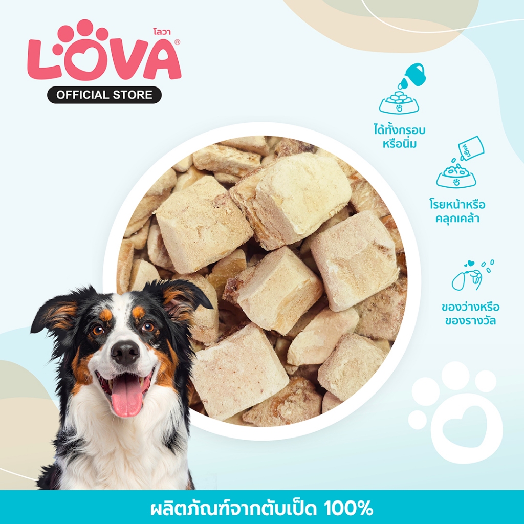 Lova โลวา ตับเป็ดฟรีซดราย สำหรับสุนัข น้ำหนัก 40 กรัม ยกลัง8แพ็ค Duck Liver Freeze Dried for Dog ราคา ถูกที่สุด ดีลบีเคเค แกลเลอรีภาพที่ 4