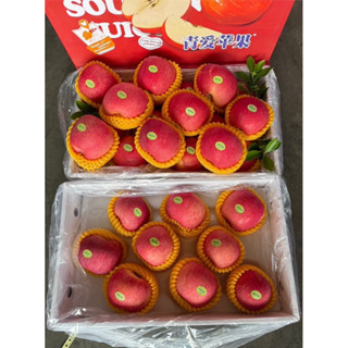 แอปเปิ้ลฟูจิ แกนน้ำผึ้ง พรี่เมี่ยม (กล่องแดง 9-10 ลูก) น้ำหน…