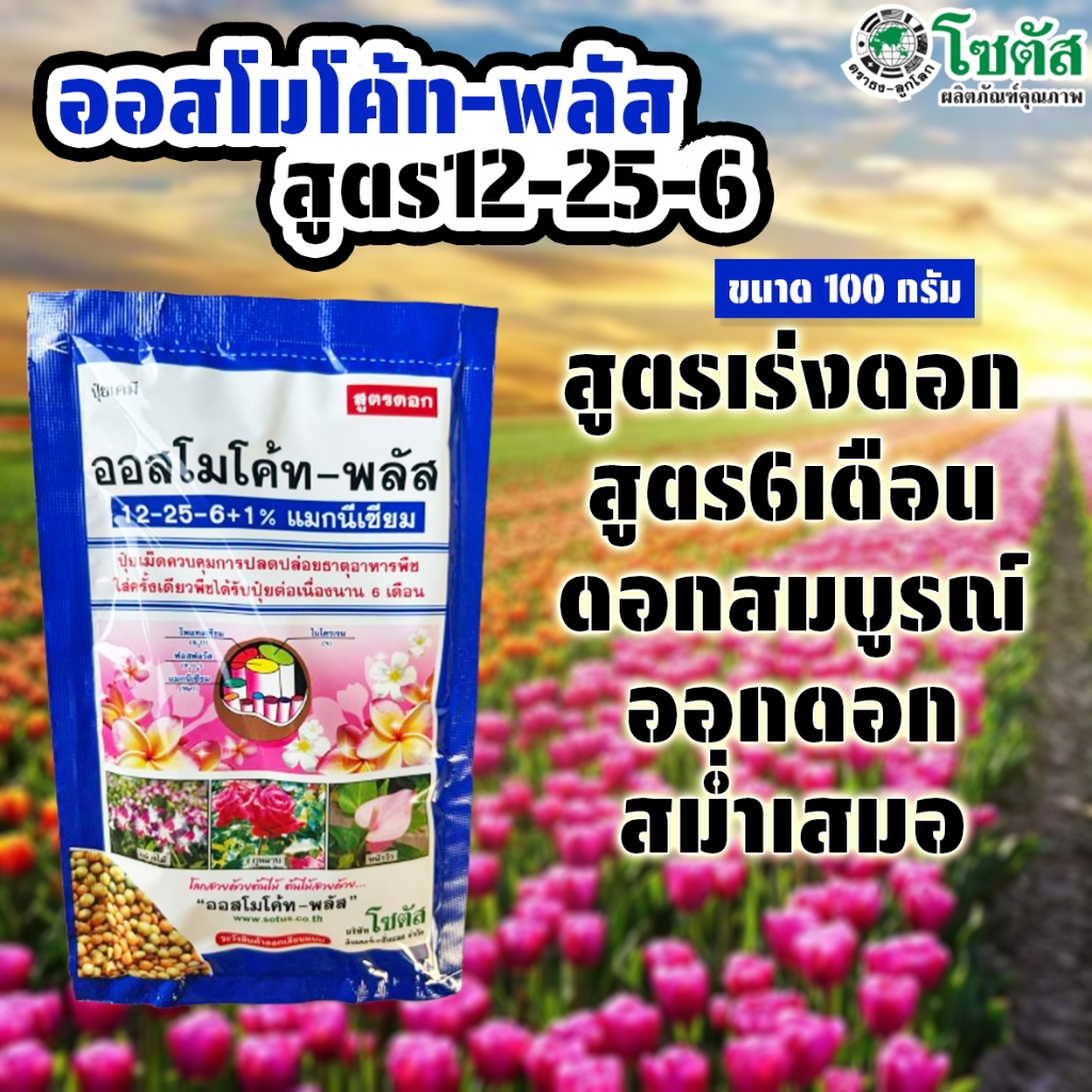 ปุ๋ยออสโมโค้ทพลัส สูตร 12-25-6+1% บำรุงต้น เร่งดอก ปุ๋ยละลายช้า ขนาด 100 กรัม