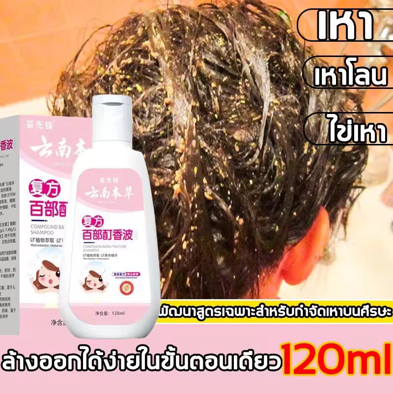 [COD] แชมพูฆ่าเหา สูตรสมุนไพร 2 ขนาด 120ml / 240ml กลิ่นหอม ไม่ระคายเคือง เหมาะสำหรับทุกวัย กำจัดเหา 1 ครั้งเห็นผล