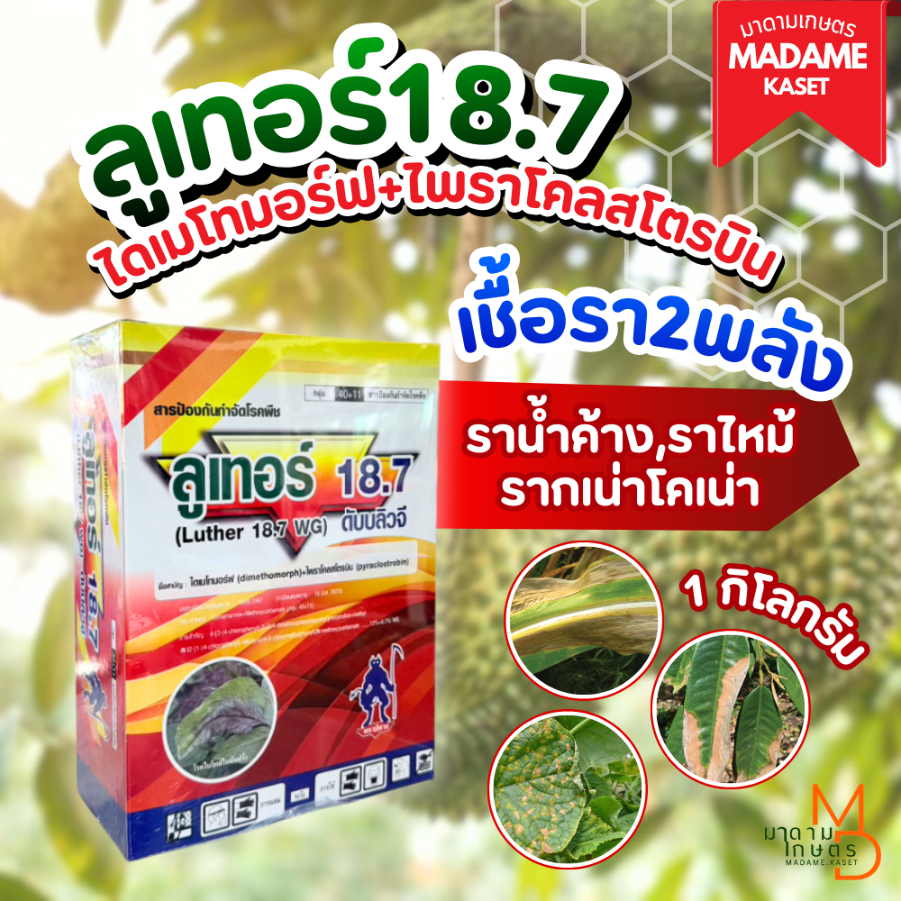ลูเทอร์ 18.7 ขนาด 1 กิโลกรัม (ไดเมโทมอร์ฟ + ไพราโคลสโตรบิน) สองพลังบวก ป้องกันโรคเชื้อราใบไหม้ ใบจุด ในพืชไร่พืชสวนทุกชน