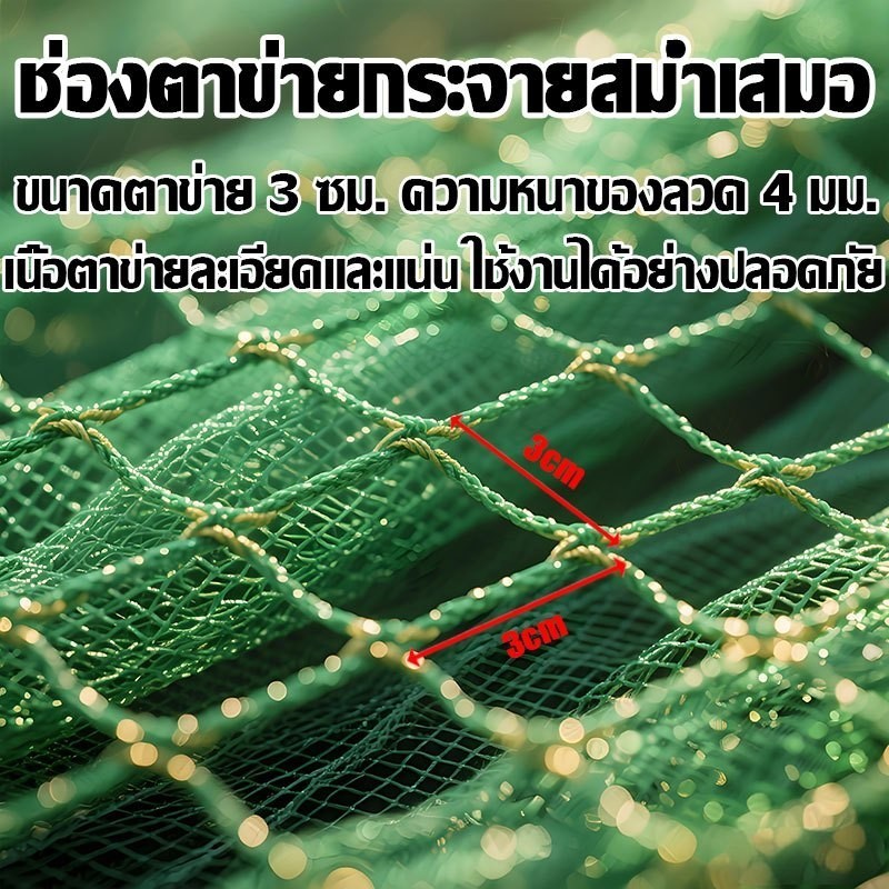 ใช้ได้ 10 ปี ตาข่ายกันนก 2*100ม อวนล้อมไก่ แน่น ทนต่อแรงดึง ทนแดด หนาขึ้น ตาข่ายล้อมไก่ ตาข่ายกันนก อวนเขียว - รูปที่ 6