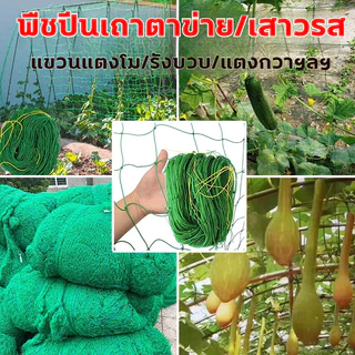 ใช้ได้ 10 ปี ตาข่ายกันนก 2*100ม อวนล้อมไก่ แน่น ทนต่อแรงดึง ทนแดด หนาขึ้น ตาข่ายล้อมไก่ ตาข่ายกันนก อวนเขียว