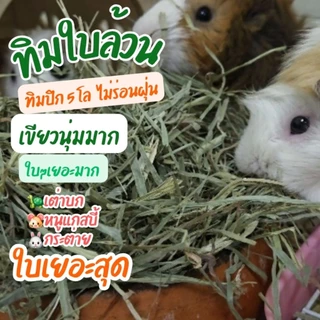 ทิโมธีใบล้วน หญ้าทิโมธี ใบล้วน คัท 3 Timothy พรีเมียม (ร่อนฝุ่น)1kg.