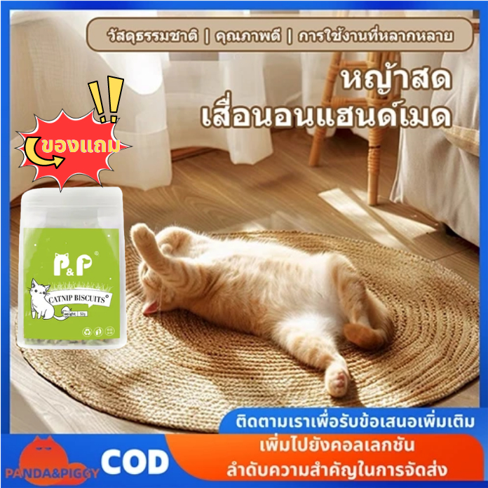 วงกลมพรมลับเล็บแมว แผ่นลับเล็บแมว กันข่วน ของเล่นแมว ที่นอนแมว ที่ลับเล็บแมว เสื่อลับเล็บแมว หญ้าพุ่ม วางบนพื้น 3 in 1