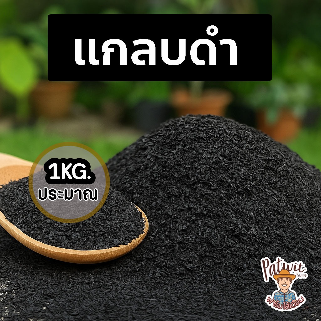 (2ถุง50)(15ถุงส่งฟรี) แกลบดำ ขี้เถ้าแกลบ คุณภาพดี ถุงใหญ่ขนาดประมาณ 1 กิโลกรัม วัสดุเพาะกล้า ผสมดิน ปักชำกิ่ง ทำไข่เค็ม