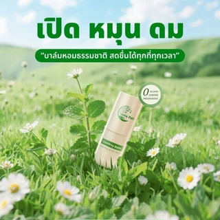 (1-5 ชิ้น)🌿 Terra Pafe Comfrey Balm เทอร่า พาเฟ่ บาล์มคอมเฟรย์ แก้คันแมลงกัดวิงเวียน ไมเกรน บาล์มแท่ง บาล์มยุงกัด ยาดม