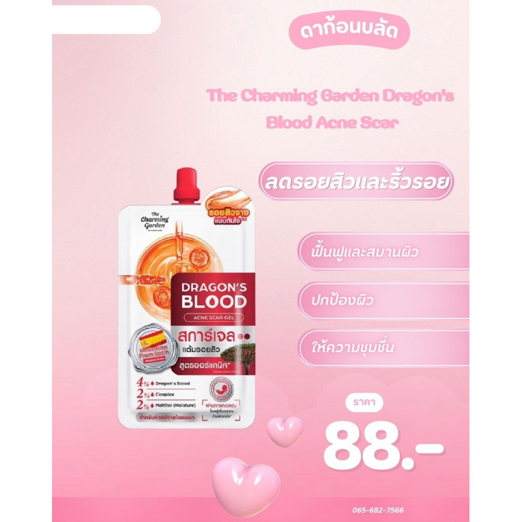 The Charming Garden(เดอะ ชาร์มมิ่ง การ์เด้น)