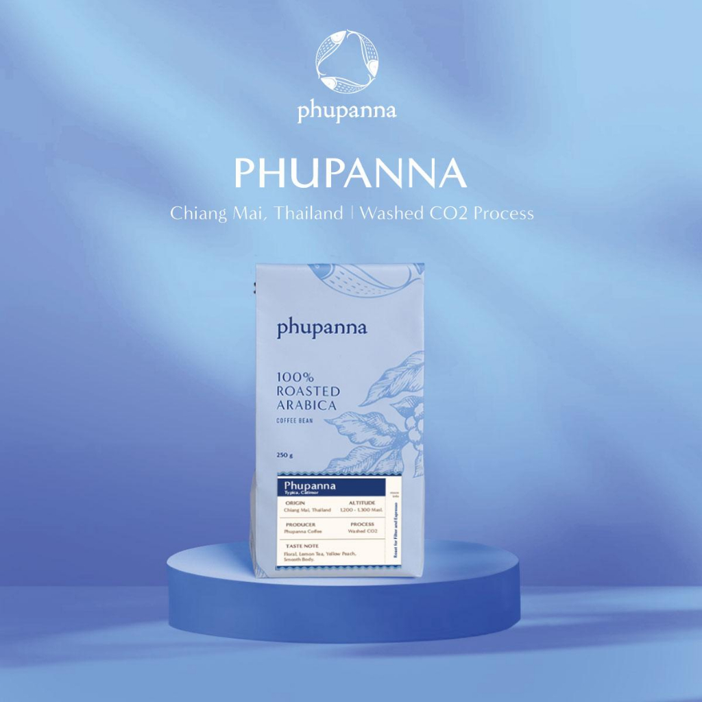 เมล็ดกาแฟคั่วอ่อน Thai Single Origin : Washed Phupanna ขนาด 250 กรัม
