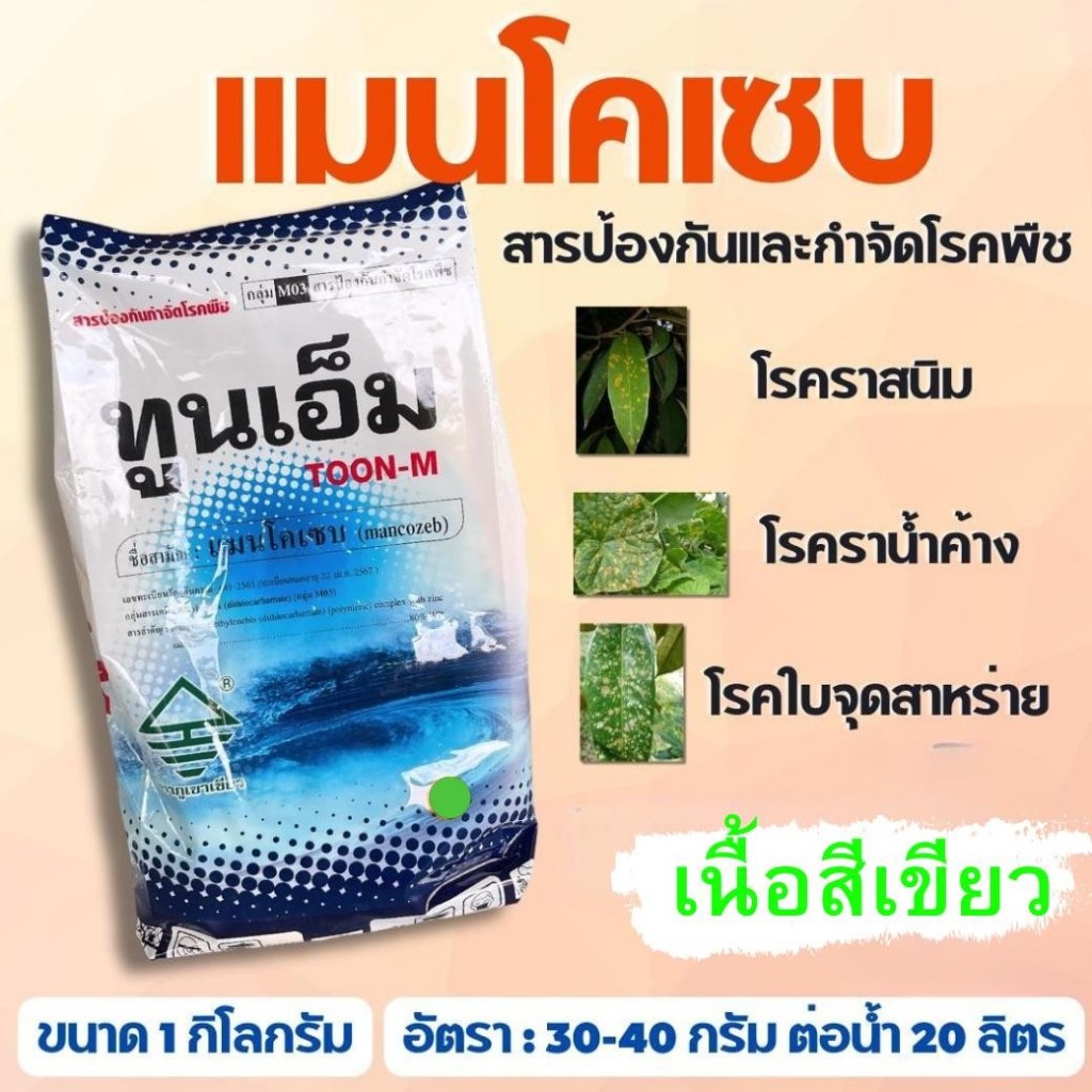 แมนโคเซบ 80% wp ทูนเอ็ม เนื้อเขียว ขนาด 1 กิโลกรัม ป้องกันและกำจัดชื้อรากว่า 400 ชนิด โรคแอนแทรคโนส โรคสแคป
