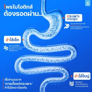 DLACTO PROBIOTIC (3 แถม 1 กล่อง) โพรไบโอติก จากธรรมชาติ ช่วยดูแลสมดุลการขับถ่าย ลำไส้ดี ชีวิตดี๊ดีย์