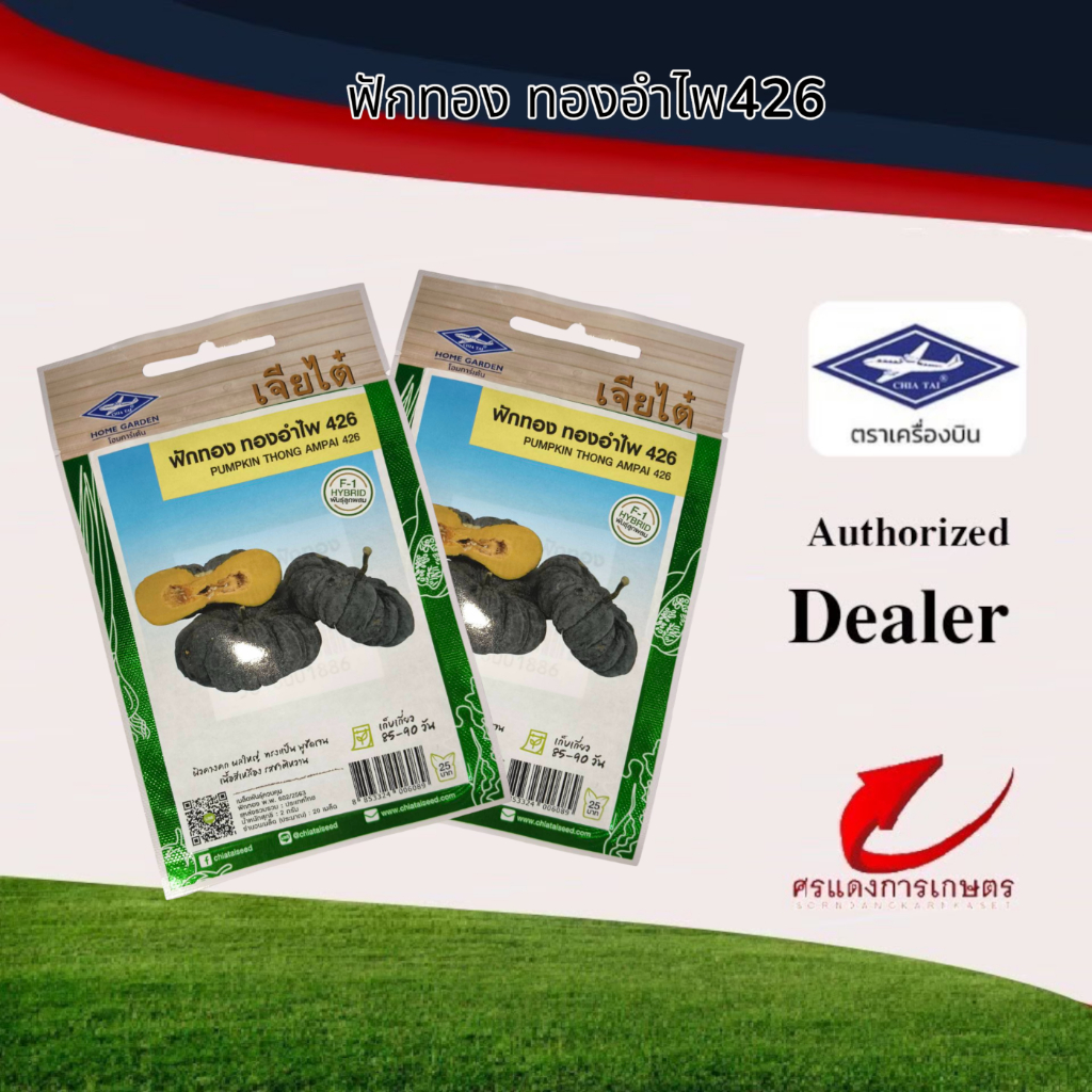 ผักซองเจียไต๋ฟักทองทองอำไพ 426