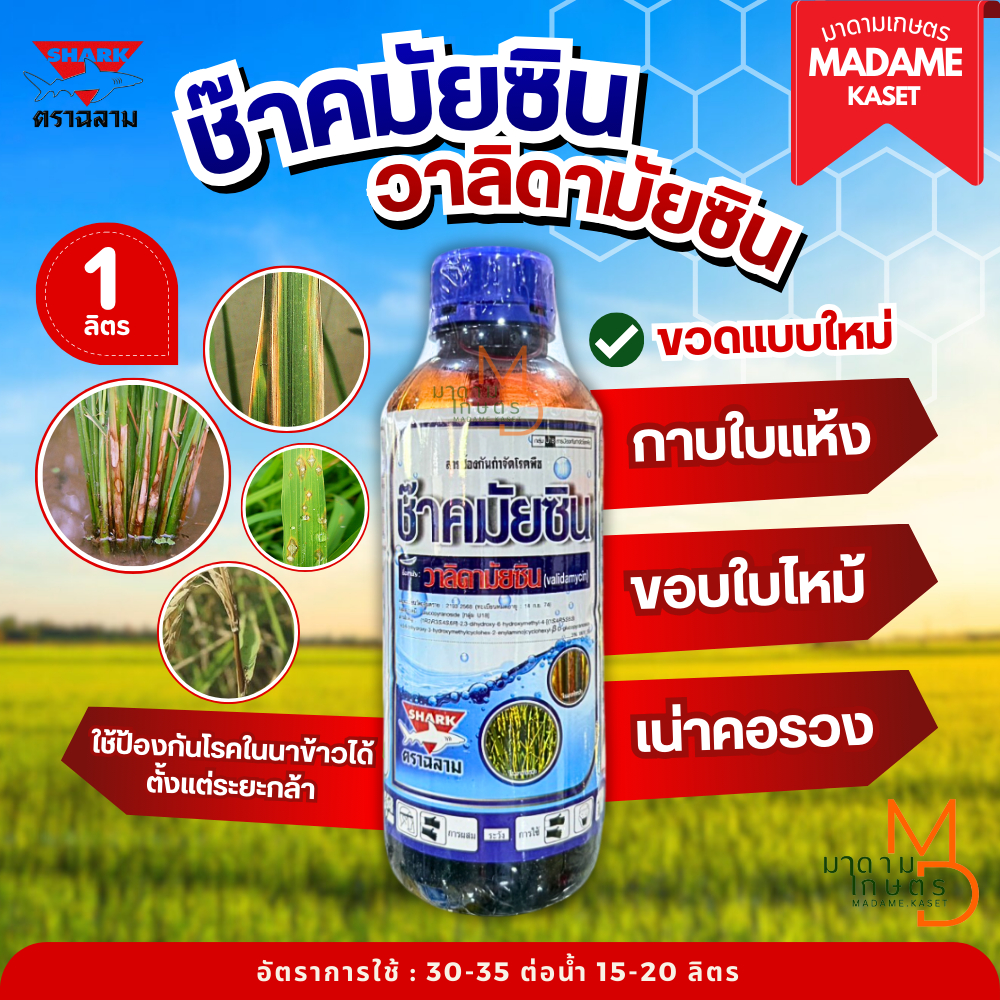 ใหม่!! ช๊าคมัยซิน (วาลิดามัยซิน) หยุดเชื้อรา ออกฤทธิ์ไว เก่งโรคกาบใบแห้ง โรคใบไหม้ โรคเมล็ดด่างดำ โรคโคนเน่า (1ลิตร)