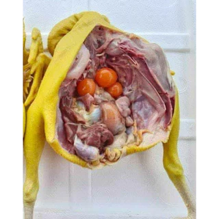 ไก่ตัว ไก่ไข่ พร้อมเครื่องใน (นน.1.3-2.kg./ตัว)🐓🧧⚡️ส่งด่วน 🔥ค่าส่งเหมา✅คละได้ทั้งร้าน❗️💨ส่งขนส่งแช่เย็น❄️