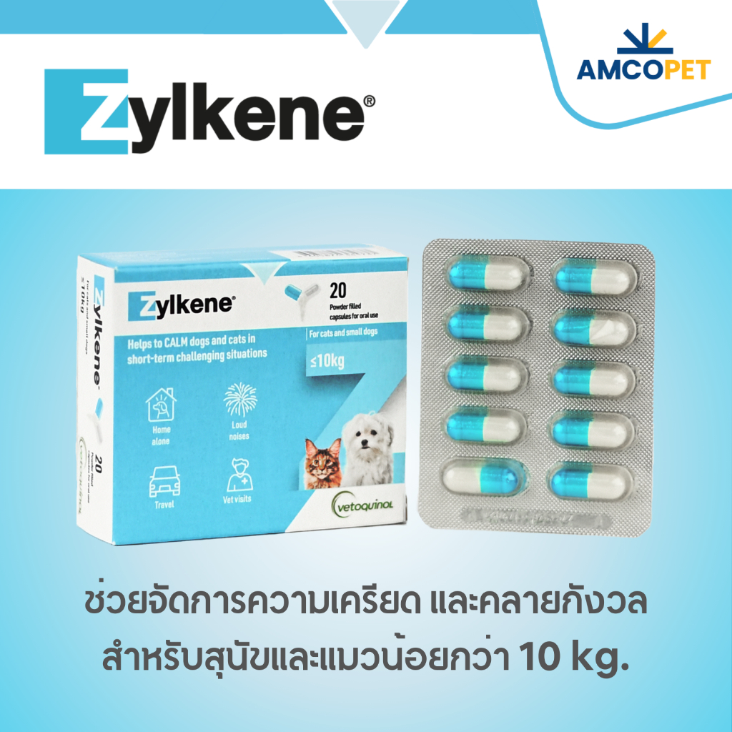 Zylkene 75 mg ผลิตภัณฑ์อาหารเสริม ลดเครียด คลายกังวลสำหรับสุนัขขนาดเล็กและแมว