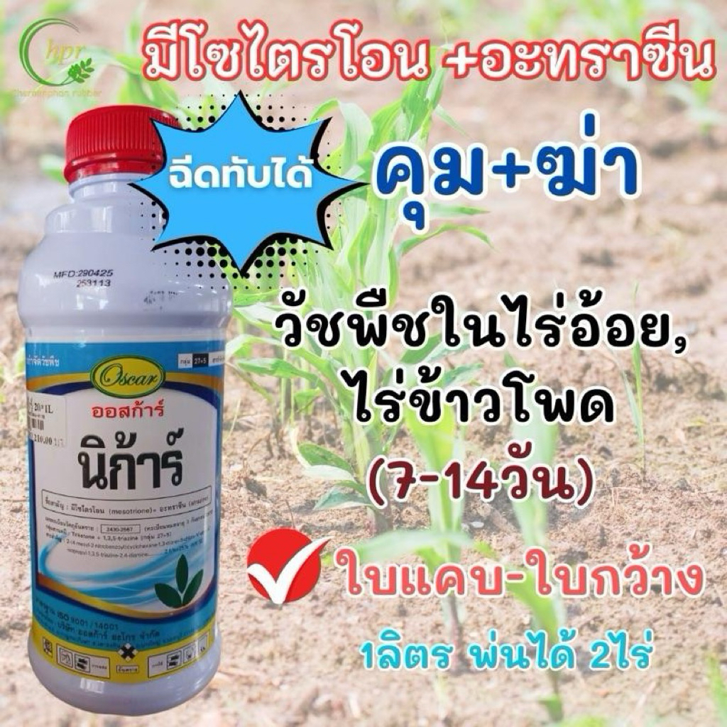 นิก้าร์ มีโซไตรโอน+อะทราซีน สารกำจัดวัชพืช ในไร่อ้อยและข้าวโพด ฉีดทับได้ ขนาด1ลิตร
