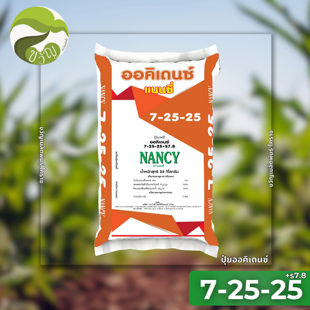 ปุ๋ยเกล็ด ออคิเดนซ์ แนนซี่ ระบบน้ำ เพิ่มผลผลิต ติดดอก/ผล สูตร 7-25-25+s7.8 (บรรจุ 25 กิโลกรัม)