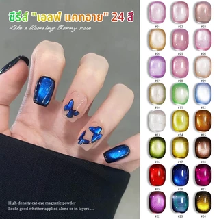 MAYDING สีลูกแก้ว เจล สีแม่เหล็ก เจลเล็บตาแมว 24 เฉด ไล่สีฝัน ของต้องมีในร้านและครอบครัว เรืองแสงวิ้งต้องอบ