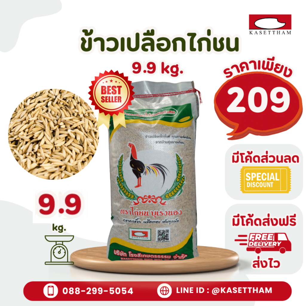 9.9 กก. ข้าวเปลือกไก่ชน สะอาดพิเศษ ตราไก่ชนบุเรงนอง คุณภาพดีราคาโรงสี ส่งฟรี สั่ง 6 ถุงคุ้มค่าส่ง