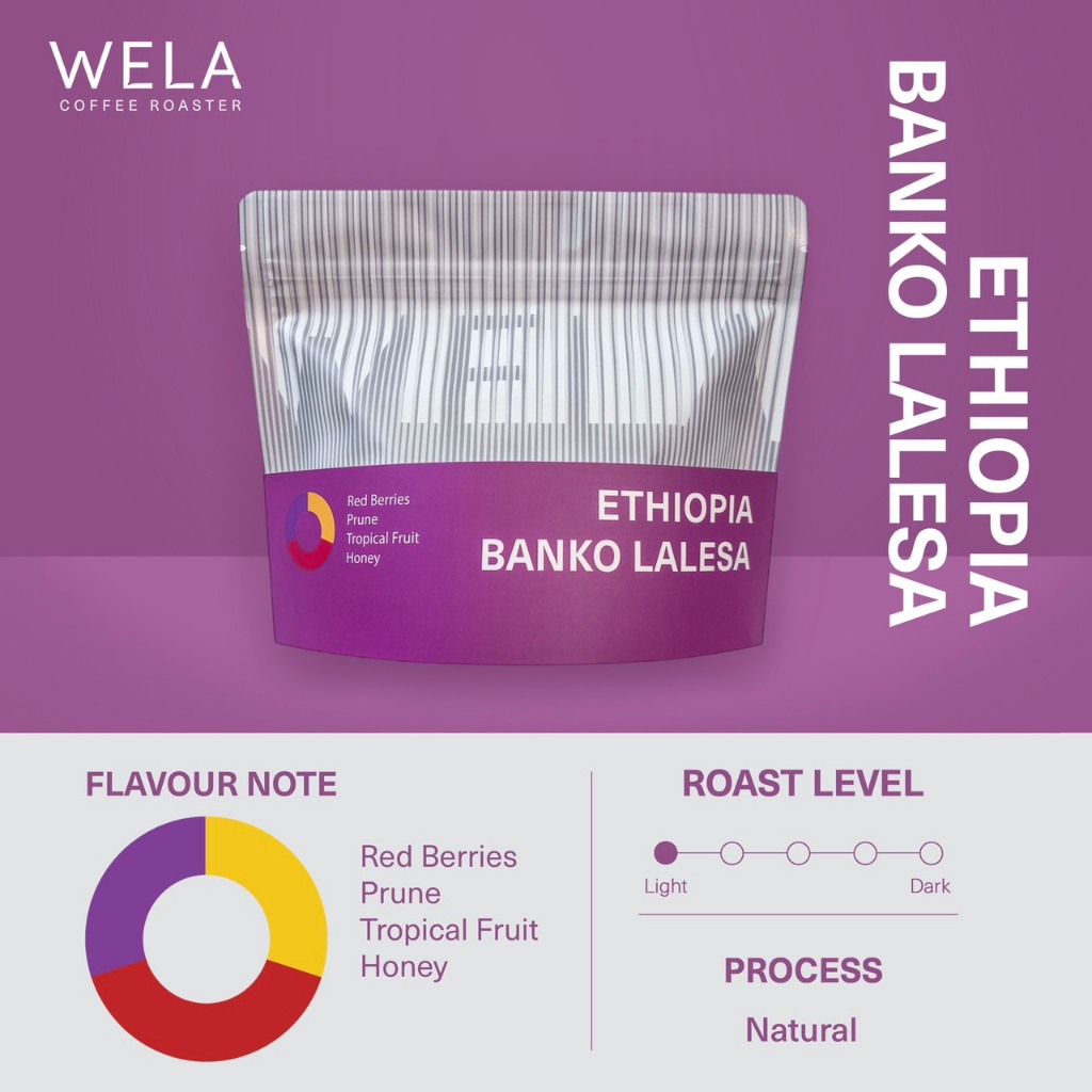 WELA Coffee Roaster - เมล็ดกาแฟคั่ว Ethiopia Banko Lalesa, Natural Process, Light Roast
