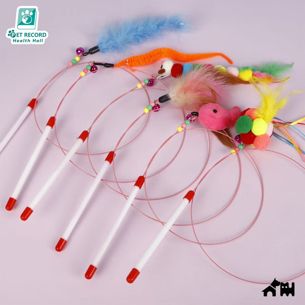 🔥ไม้แมว ยาวสุด ไม่ล่อแมว ไม้ตกแมว ของเล่นแมว ของเล่น สำหรับแมว สำหรับสัตว์เลี้ยง Cat Toys
