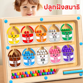 เกมกระดาน แยกสีลูกปัดแม่เหล็ก ของเล่นเสริมการเรียนรู้ เกมฝึกสมอง เรียนรู้สีผ่านเกม