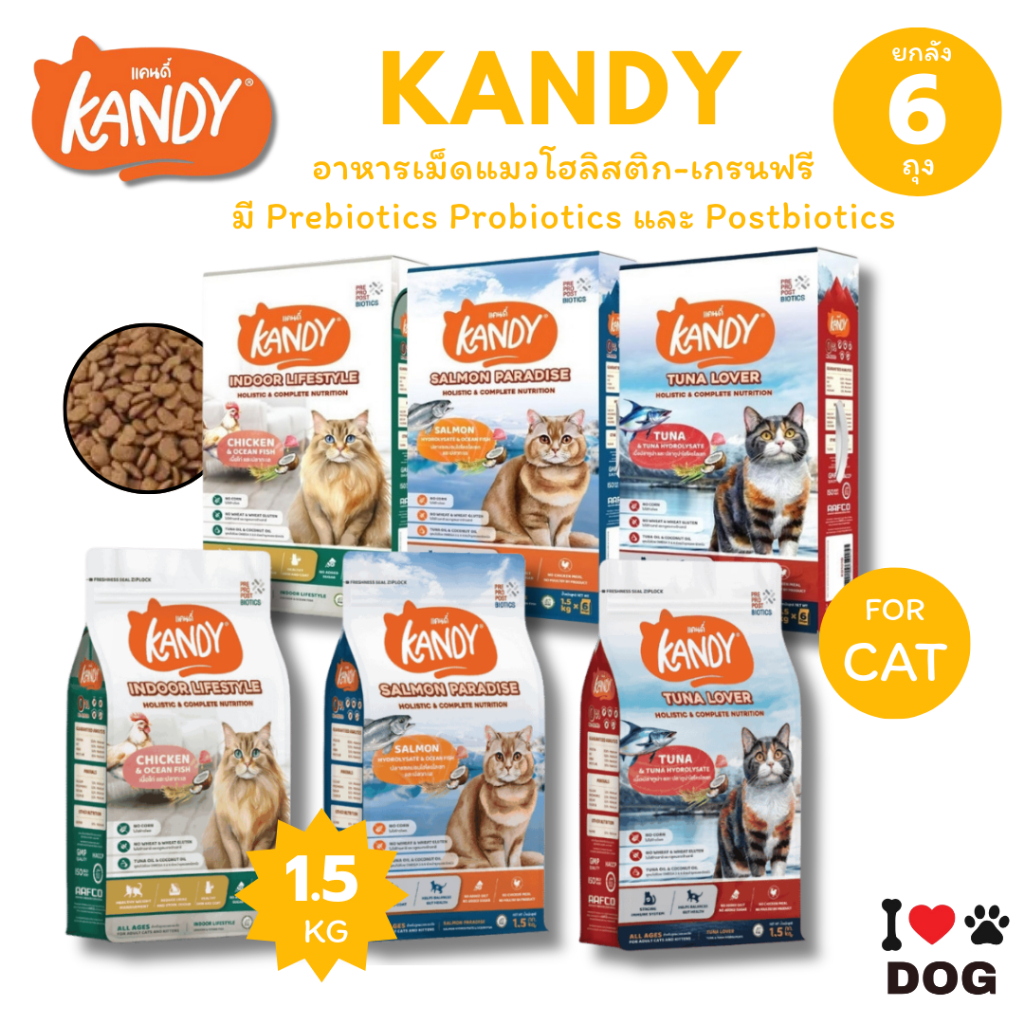 Kandy แคนดี้ อาหารแมวโฮลิสติก สำหรับแมวทุกช่วงวัย ขนาด 1.5 Kg {ยกลัง6ถุง}