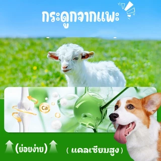 กระดูกแพะอบแห้ง ขนมสุนัขเคี้ยวเพลิน ช่วยบริหารเหงือก ลดคราบหินปูน กระดูกขัดฟันสำหรับสุนัข ขนาด15-17CM