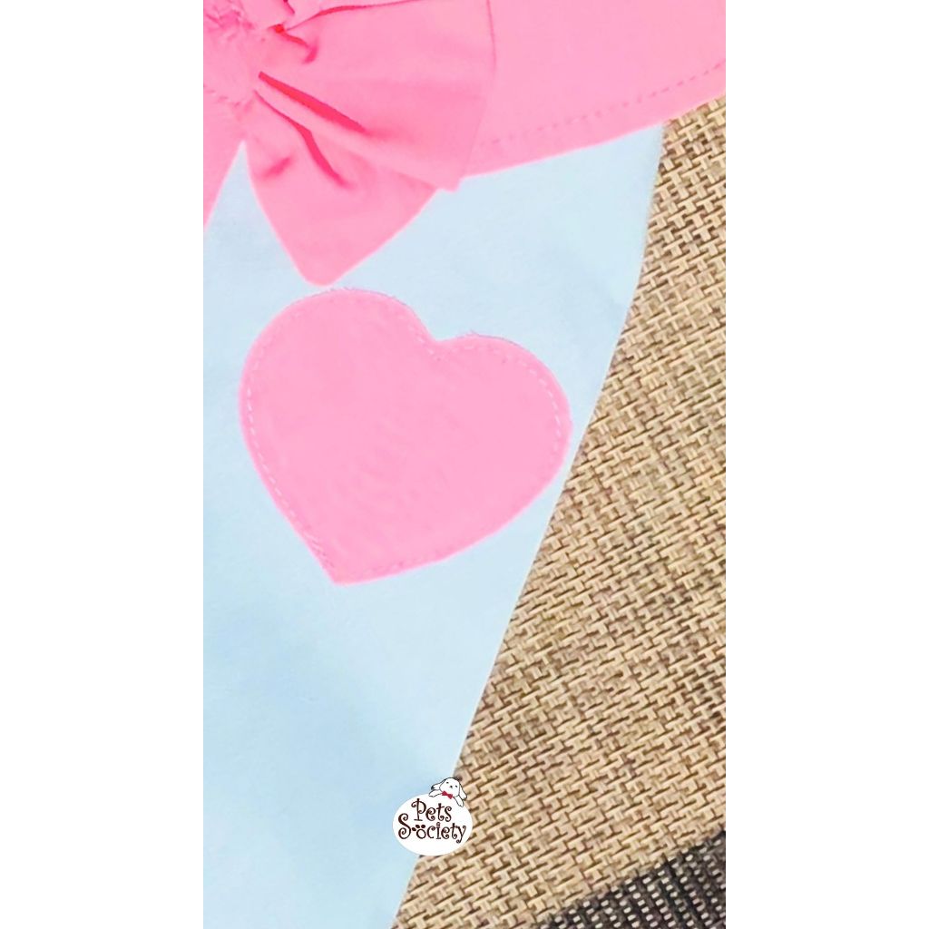 PetSociety เสื้อสุนัข เสื้อแมว ชุดคู่วาเลนไทน์ แคนดี้ เลิฟ Candy Love หัวใจพาสเทล - รูปที่ 6