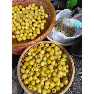 พุทราคว้านเม็ดสามรส 500 กรัม อมเปรี้ยว ไม่หวานมาก กรอบอร่อย แถมฟรีพริกเกลือรสเด็ด
