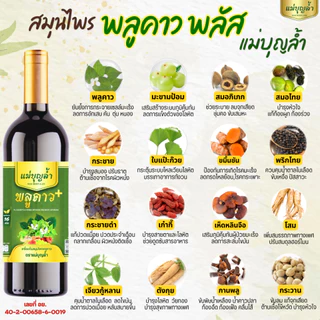 [ส่งฟรี จากบริษัท] พลูคาว พลัส แม่บุญล้ำ น้ำเหลืองเสีย แพ้ยุง ผื่นคัน กรดไหลย้อน เบาหวาน ปวดเมื่อย