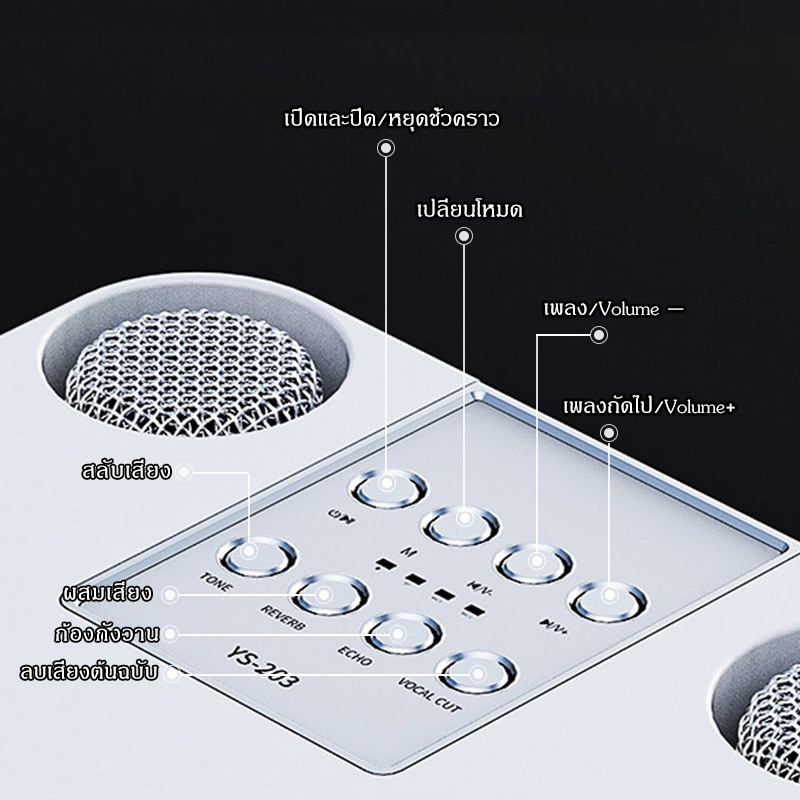 ลำโพงบลูทูธพร้อมไมโครโฟนคู่ YS-203สำหรับร้องเพลงคาราโอเกะ - รูปที่ 3