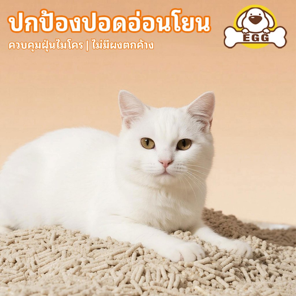 【บรรจุในกล่องเต็ม】EGG ทรายแมวเต้าหู้ 2KG/6L 4กลิ่น ทรายแมว กำจัดกลิ่น ผลิตจากกากถั่วเหลืองธรรมชาติ COD - รูปที่ 2