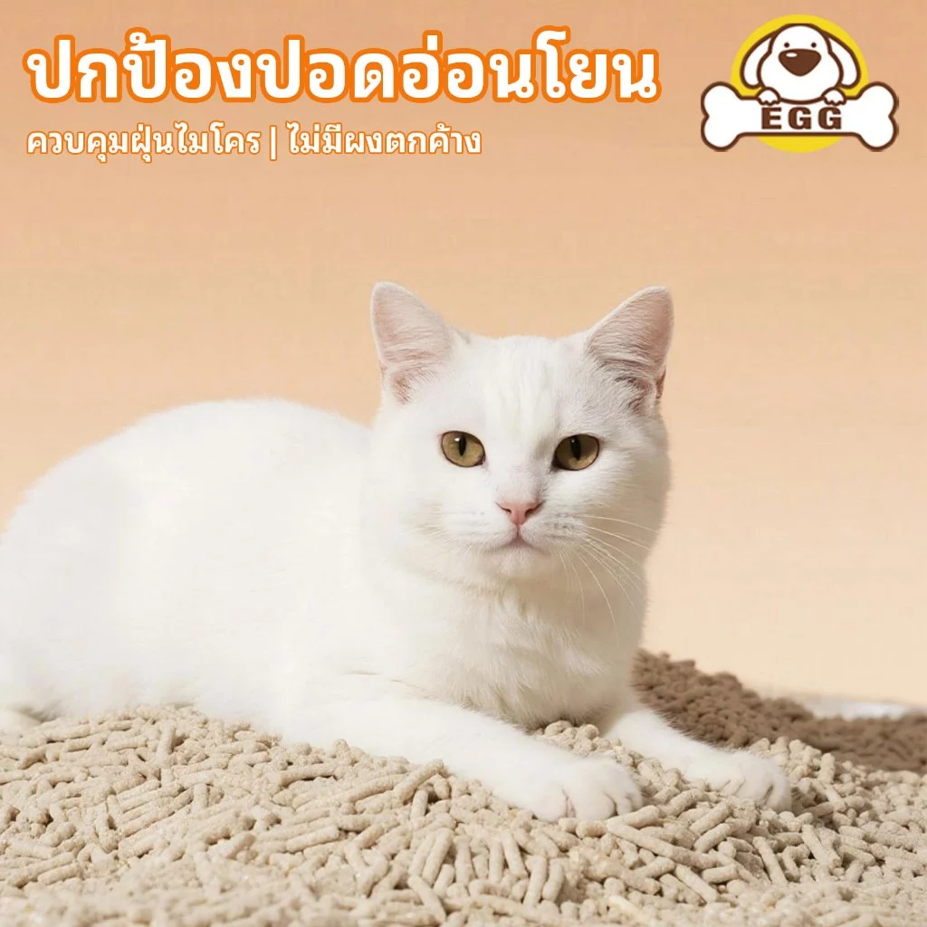 【พร้อมส่ง】EGG ทรายแมวเต้าหู้ 2KG/6L 4กลิ่น ทรายแมว กำจัดกลิ่น ผลิตจากกากถั่วเหลืองธรรมชาติ COD thumbnail 4