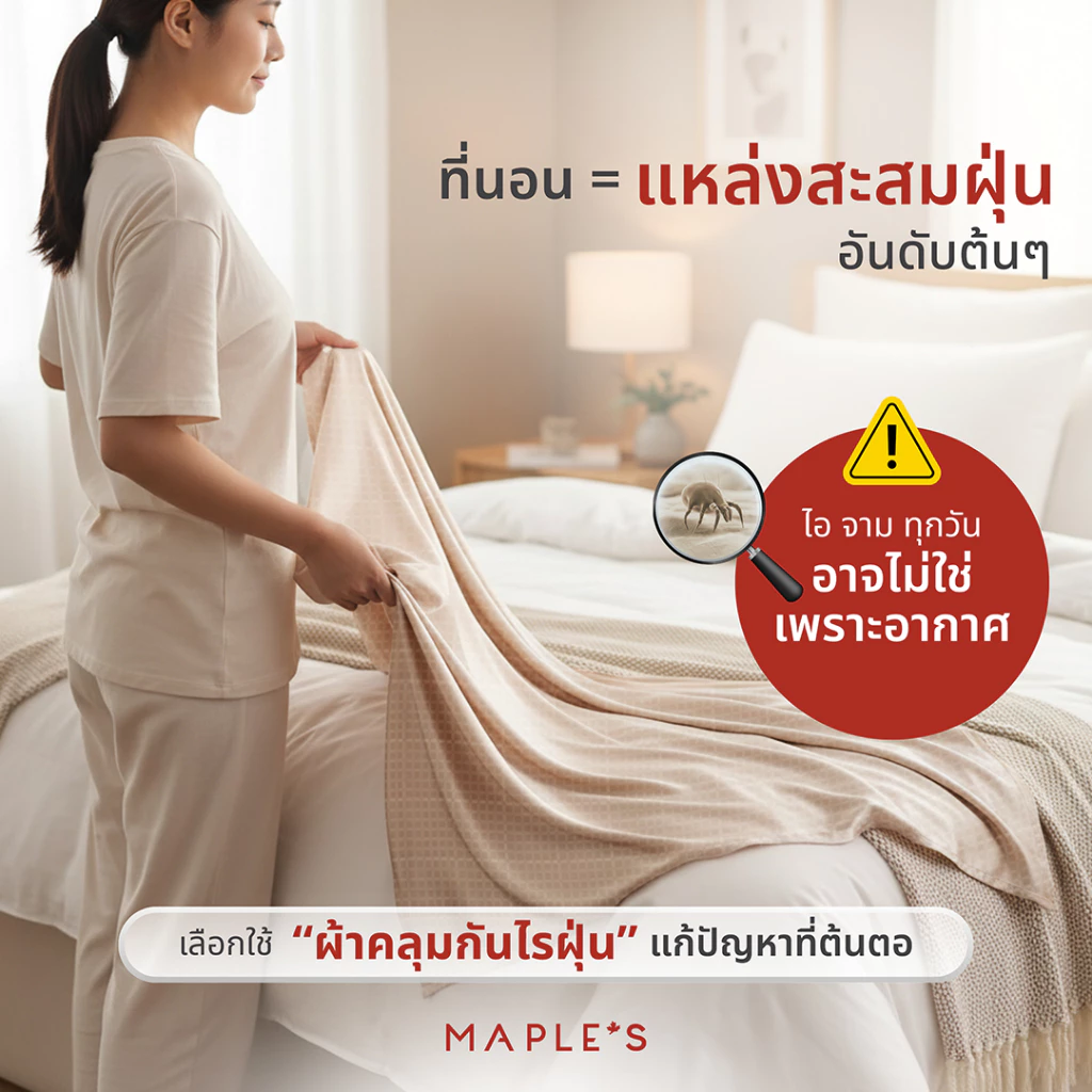 MAPLE S ผ้าคลุมเตียง ผ้าคลุมโซฟา ขนาด 3.5 5 6 ฟุต thumbnail 3