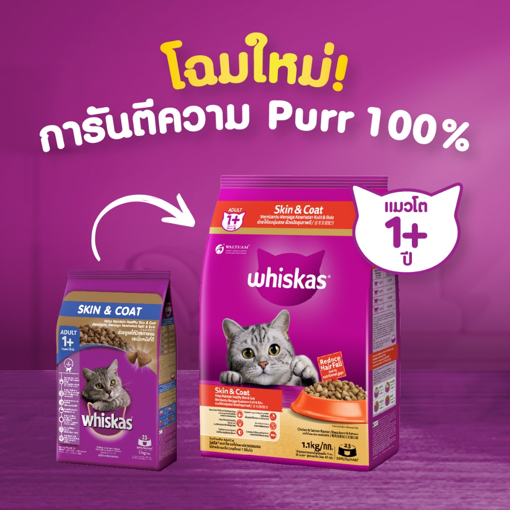 WHISKAS วิสกัส อาหารเม็ดแมวสูตรบำรุงผิวหนังและเส้นขน รูปที่ 6