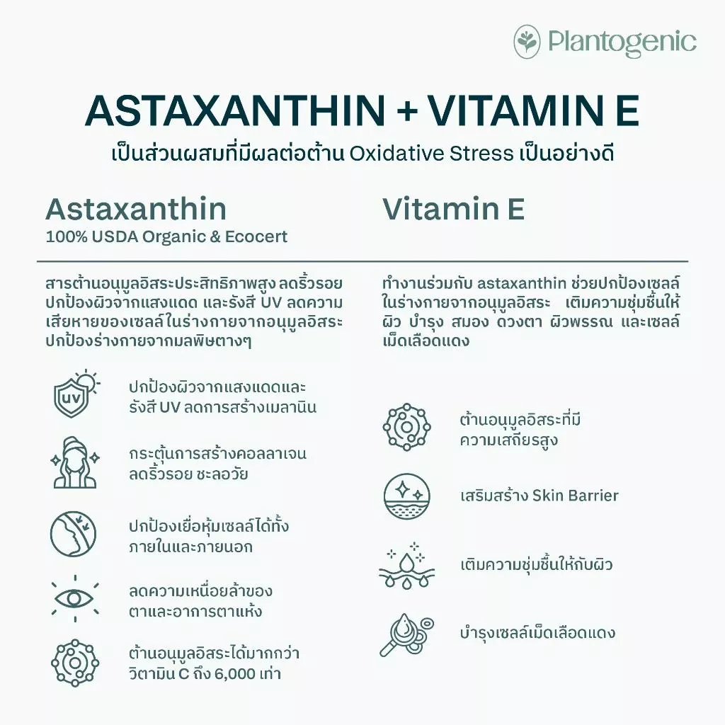 Plantogenic x BioMed - BioAll แคปซูลโพรไบโอติกส์ Medical Grade Probiotic (Plant-Based) thumbnail 5