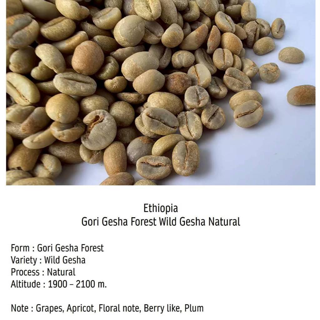 เมล็ดกาแฟเอธิโอเปีย  Ethiopia Gori Gesha Forest Wild Gesha Natural / 100 กรัม