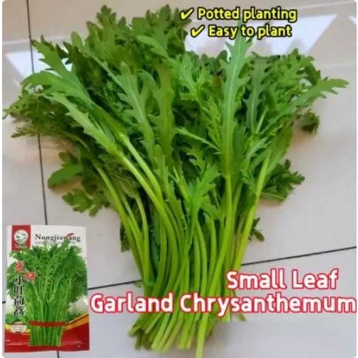 High yield vegetable seeds planting vegetables Crown chrysanthemum vegetable plant seeds Herbal seed