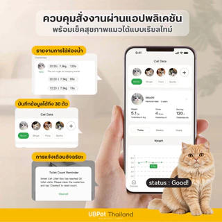 [ 𝐍𝐄𝐖 𝟐𝟎𝟐𝟔 ] UBPet Thailand ห้องน้ำแมวอัตโนมัติ Cat Litter Box รุ่น C31 ดีไซน์กะบะแบบเปิดโล่ง สะดวกสบาย น้องแมวไม่อึดอัด