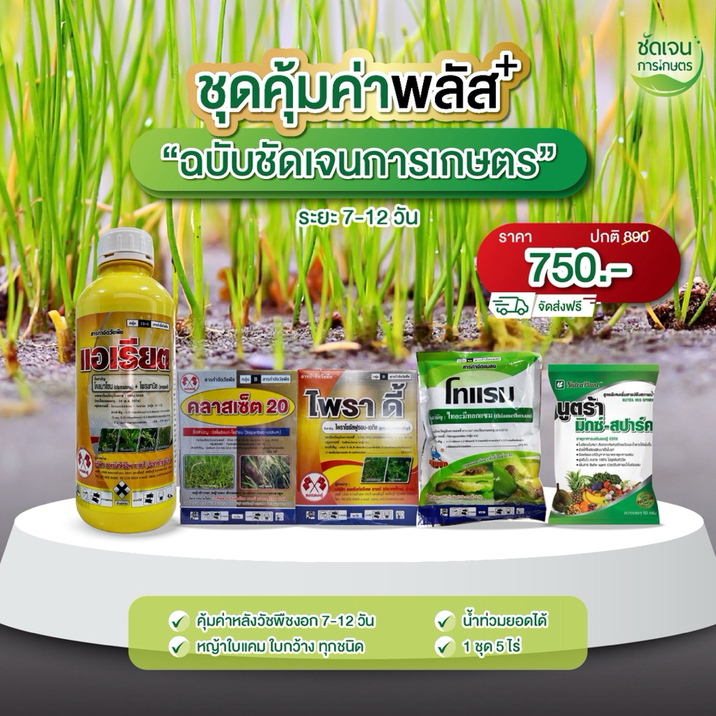 ชุดยาคุ้มค่าพลัส+ไพราดี้ (สูตร2) ในนาข้าวระยะ7-12 วัน ได้ใบแคบใบกว้าง ครอบคลุมในนาข้าว