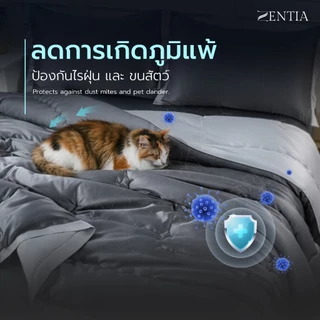 ZENTIA ชุดผ้าปู + ผ้านวม ผ้าแพรสีพื้นทูโทน กันไรฝุ่นขนสัตว์ ทอแน่น นุ่มลื่นเย็นสบาย | 6 ชิ้น [PJ]
