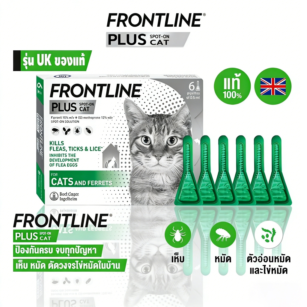 Frontline Plus ยาหยอดเห็บหมัดสำหรับแมว 6 หลอด ปกป้อง 6 เดือน ของแท้นำเข้าจากอังกฤษ ปลอดภัย ใช้ง่ายเด